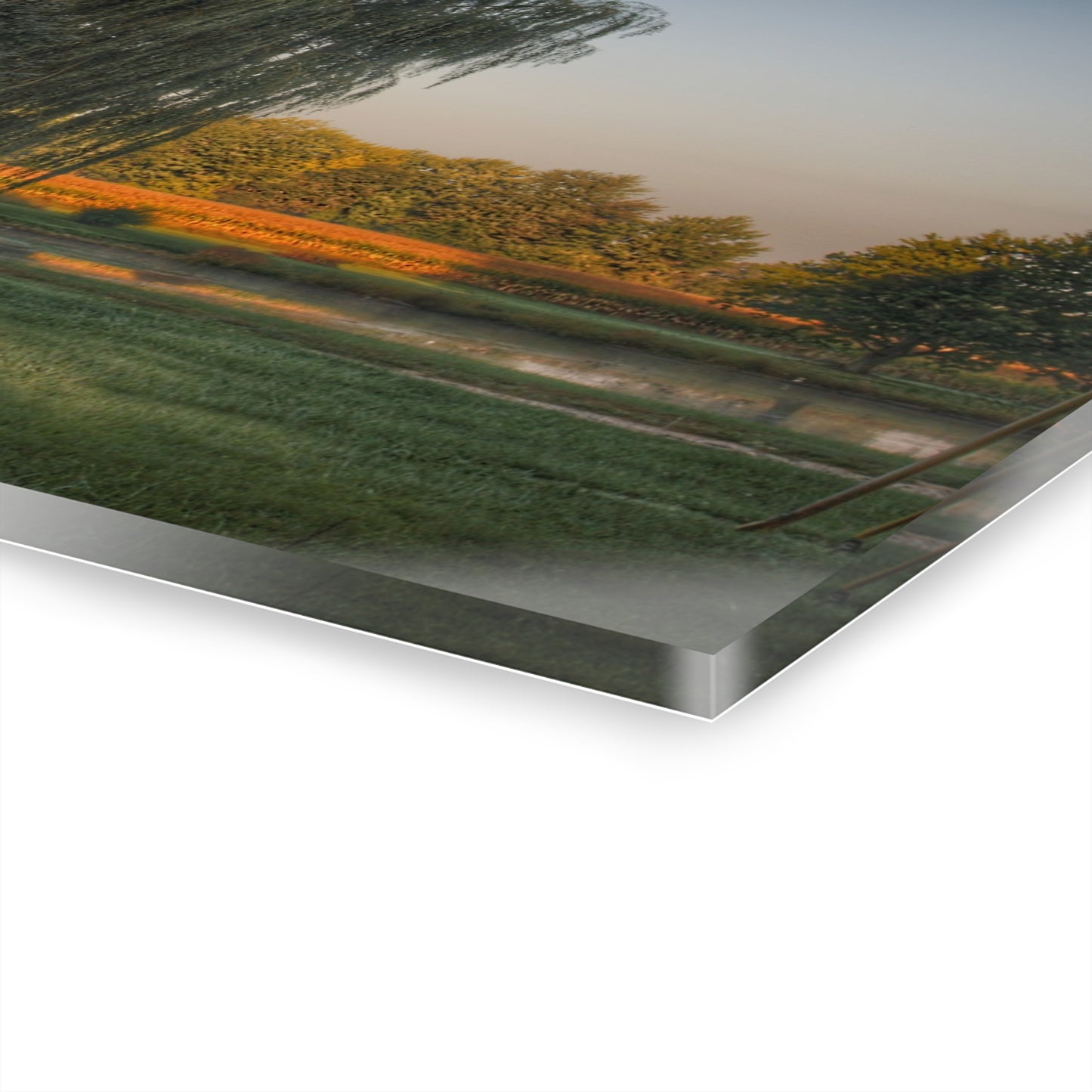 U R There Photography Sunrise on Willow Pond II Rustic Farmhouse Acrylic Wall Print