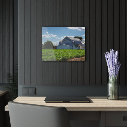 U R There Photography Canada Road White Rustic Farmhouse Acrylic Wall Print