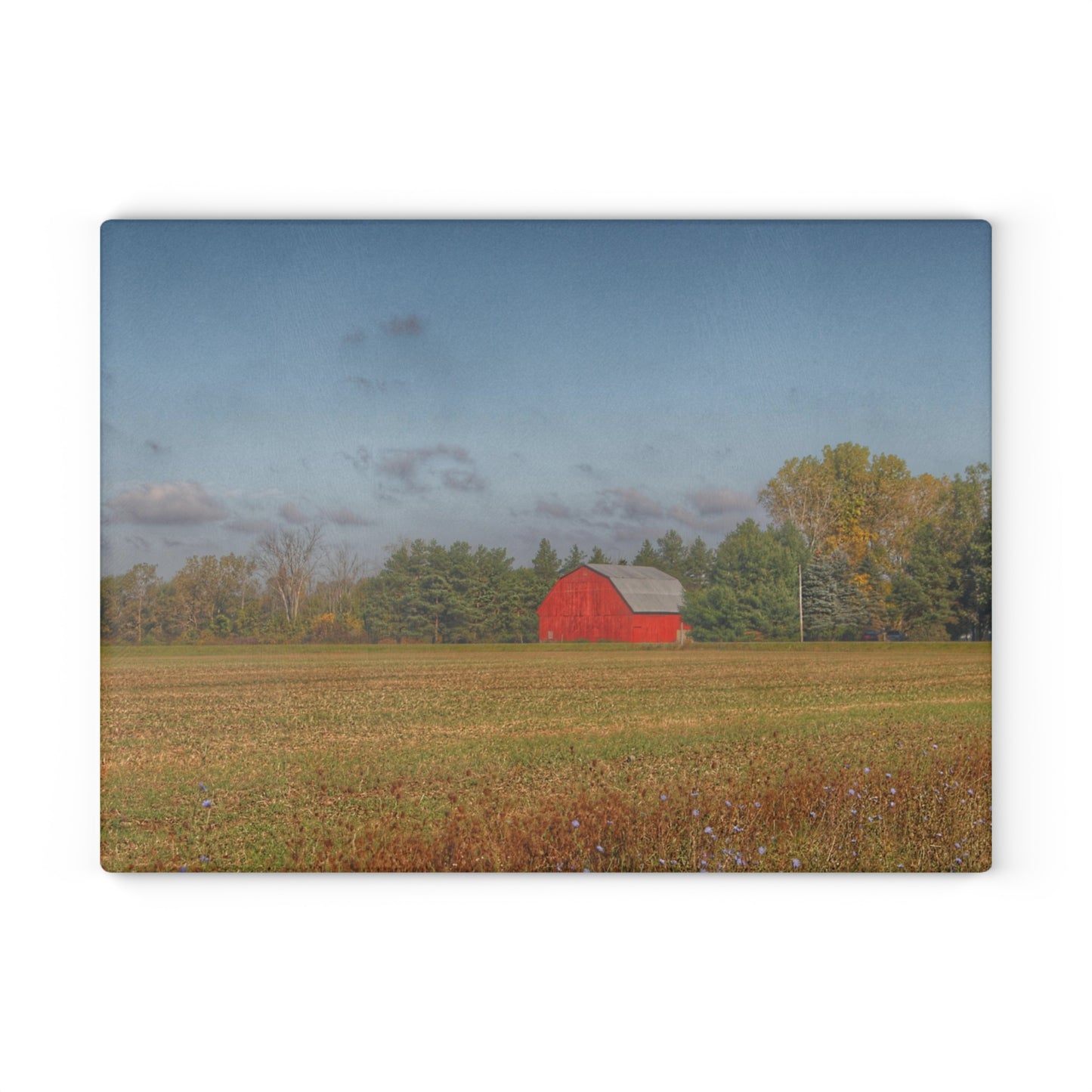 U R There Photography Fargo Road Little Red Rustic Farmhouse Tempered-Glass Cutting Board