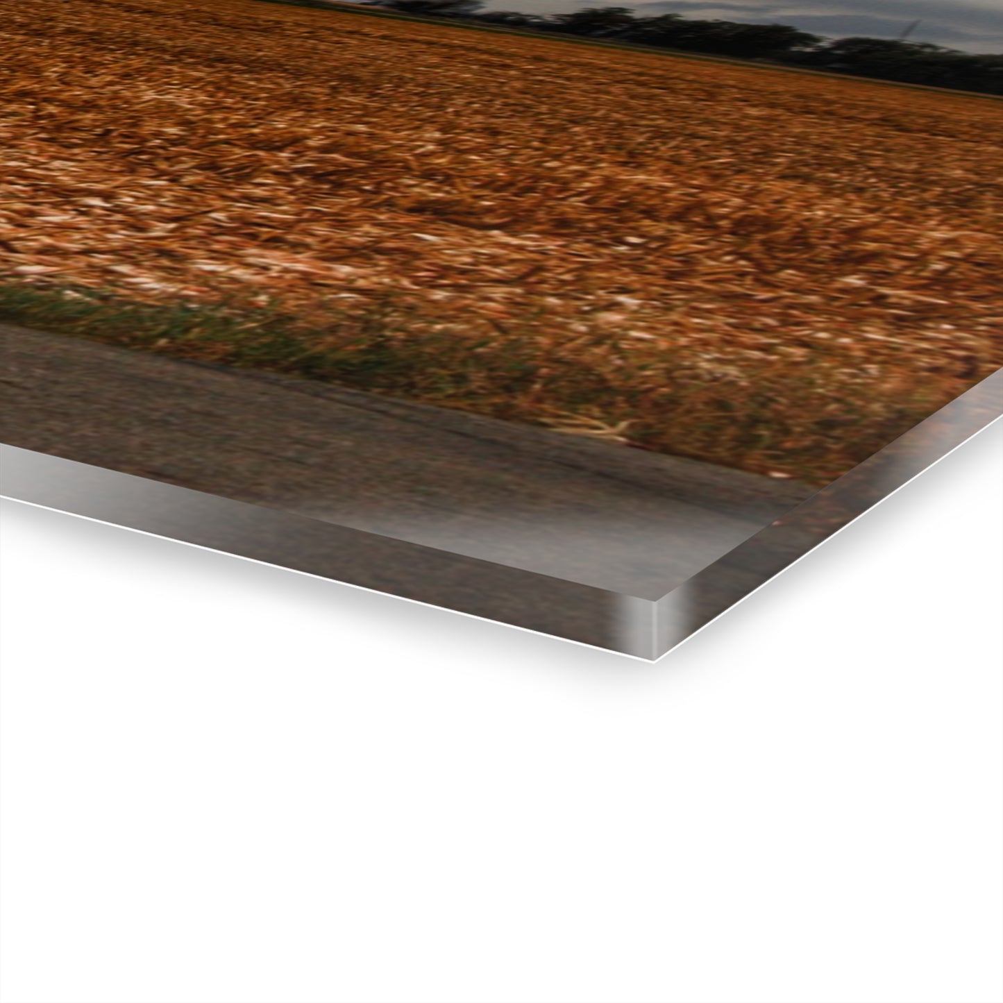 U R There Photography Garner Road Windmills Rustic Farmhouse Acrylic Wall Print