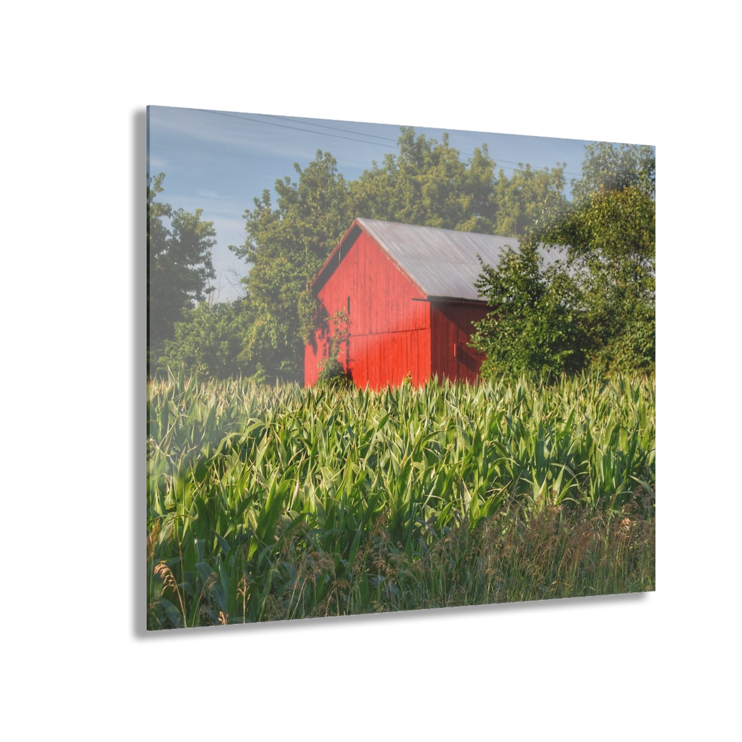 U R There Photography Willard Road Red III Rustic Farmhouse Acrylic Wall Print