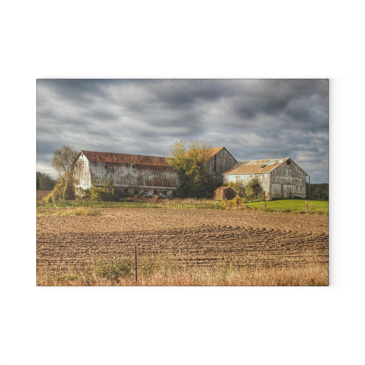 U R There Photography Newark Road Whites Rustic Farmhouse Tempered-Glass Cutting Board