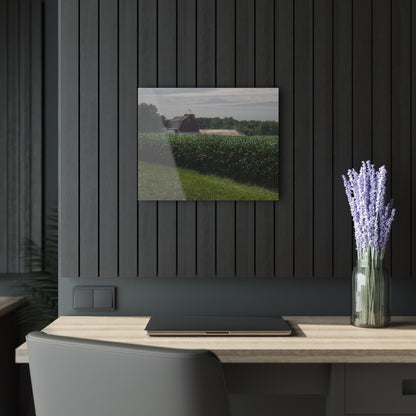 U R There Photography Above the Corn on Piersonville Road II Rustic Farmhouse Acrylic Wall Print