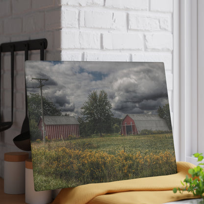 U R There Photography Pinstripe Barn and Buddy II Rustic Farmhouse Tempered-Glass Cutting Board
