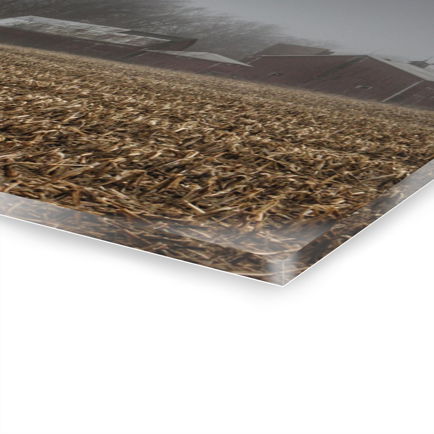 U R There Photography Farm in the Fog on Barnes Road Rustic Farmhouse Acrylic Wall Print