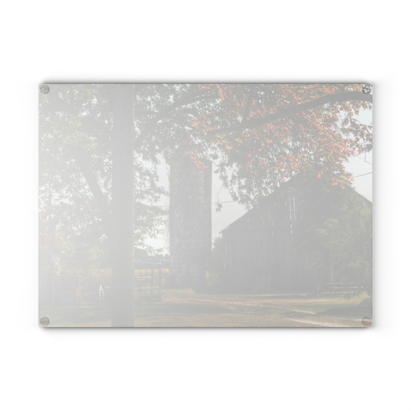 U R There Photography Hidden Grey of Tuscola Rustic Farmhouse Tempered-Glass Cutting Board