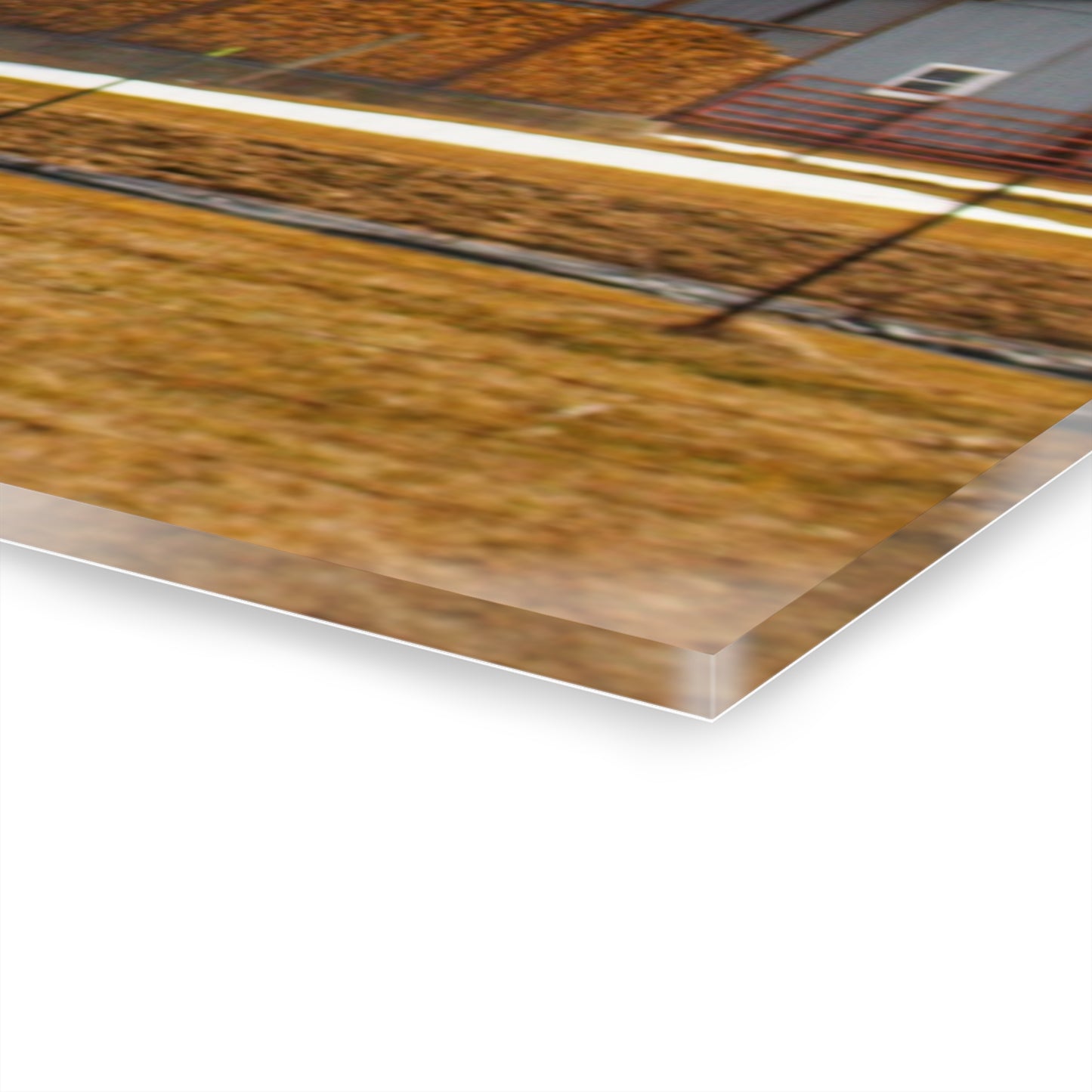 U R There Photography Hidden Red Rustic Farmhouse Acrylic Wall Print