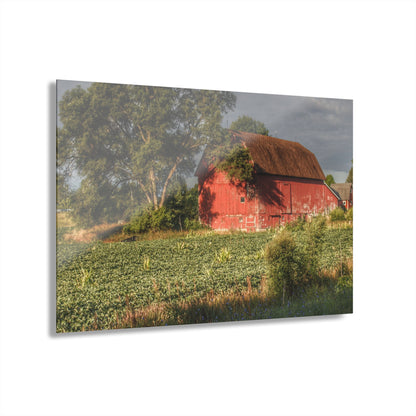 U R There Photography Genesee Road Red II Rustic Farmhouse Acrylic Wall Print
