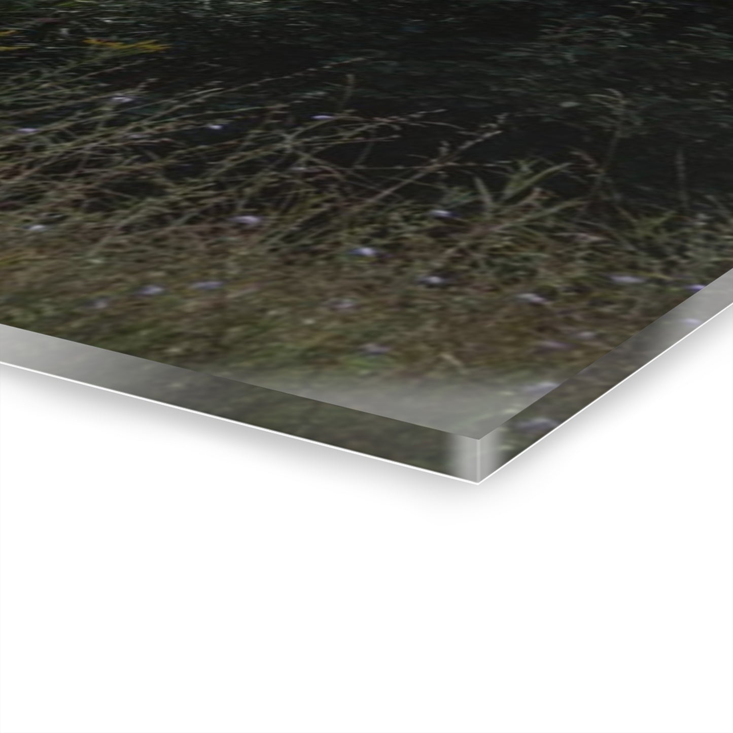 U R There Photography Greenwood Road Red II Rustic Farmhouse Acrylic Wall Print