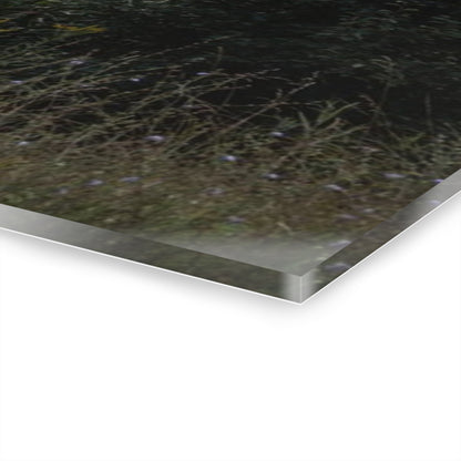 U R There Photography Greenwood Road Red II Rustic Farmhouse Acrylic Wall Print