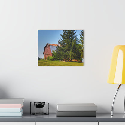 U R There Photography Mushroom Road Hidden Red Rustic Farmhouse Acrylic Wall Print