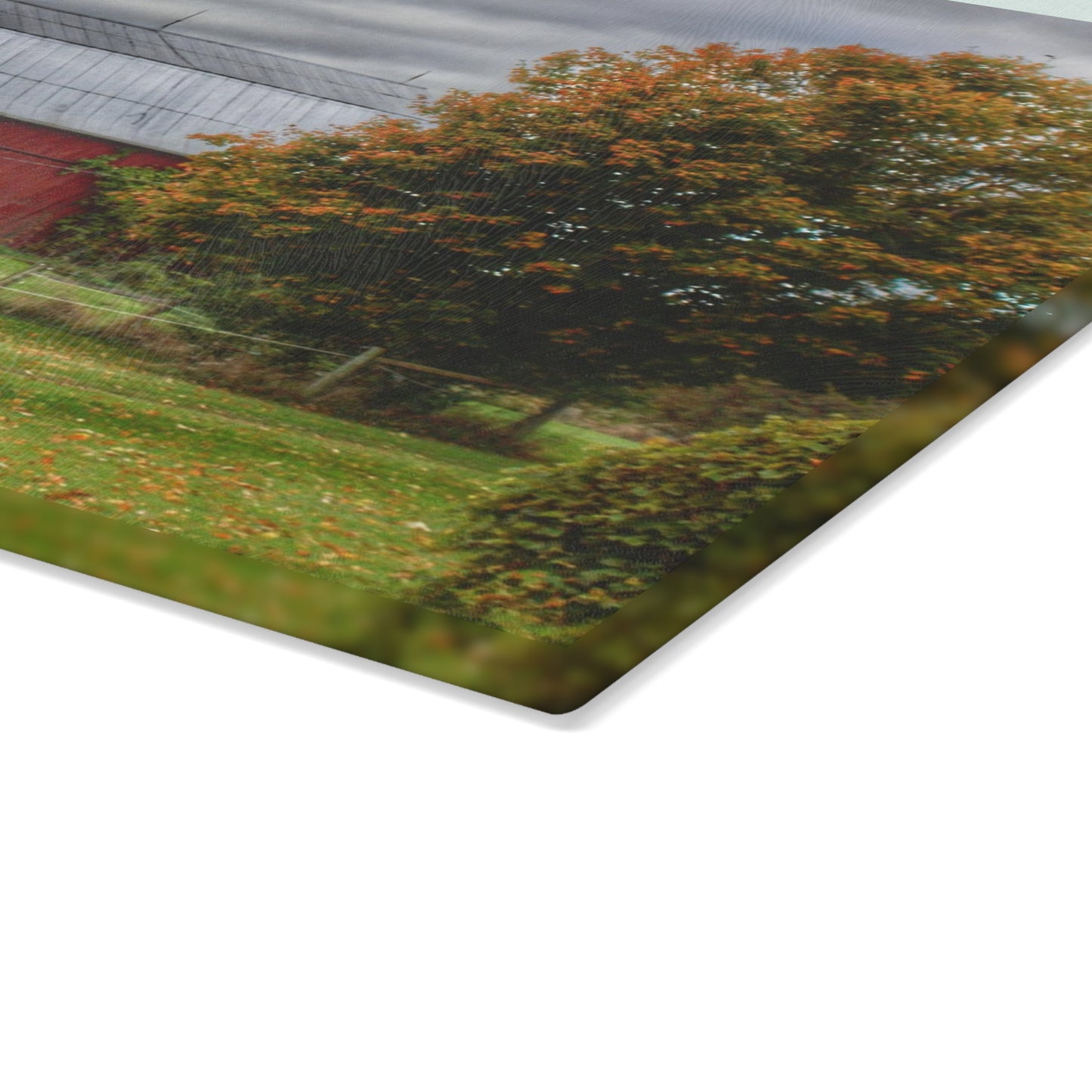 U R There Photography Columbiaville Red in Fall II Rustic Farmhouse Tempered-Glass Cutting Board
