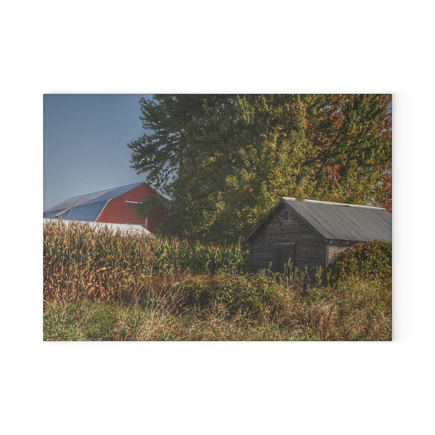 U R There Photography Barnes Road Hidden Red and Little Grey Rustic Farmhouse Tempered-Glass Cutting Board