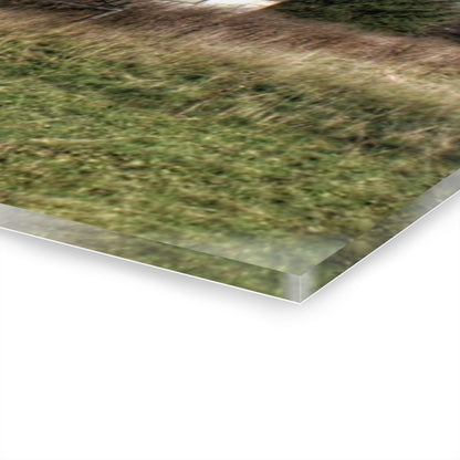 U R There Photography Hadley White Rustic Farmhouse Acrylic Wall Print