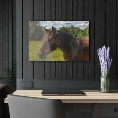 U R There Photography Brown Beauty I Rustic Farmhouse Acrylic Wall Print
