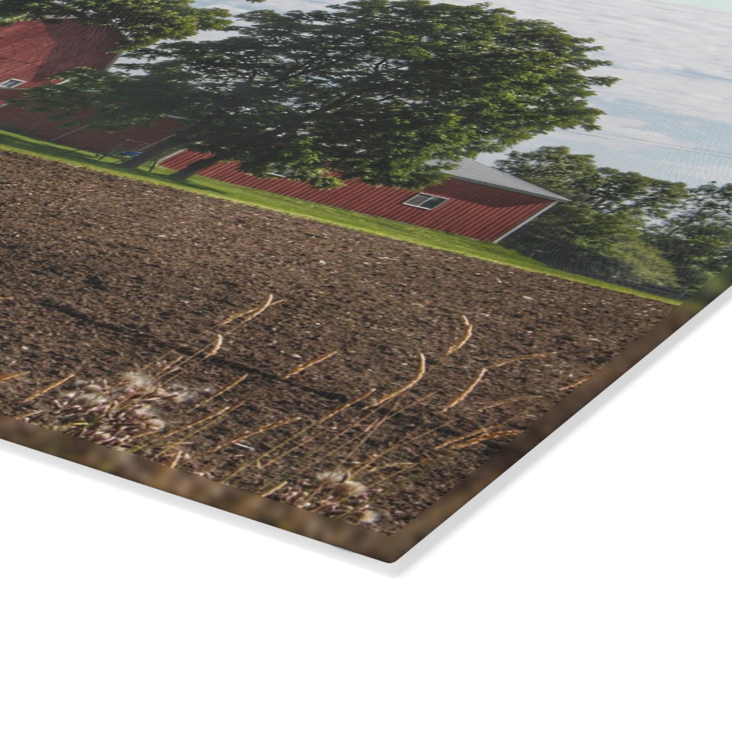 U R There Photography Catlin Road Red II Rustic Farmhouse Tempered-Glass Cutting Board