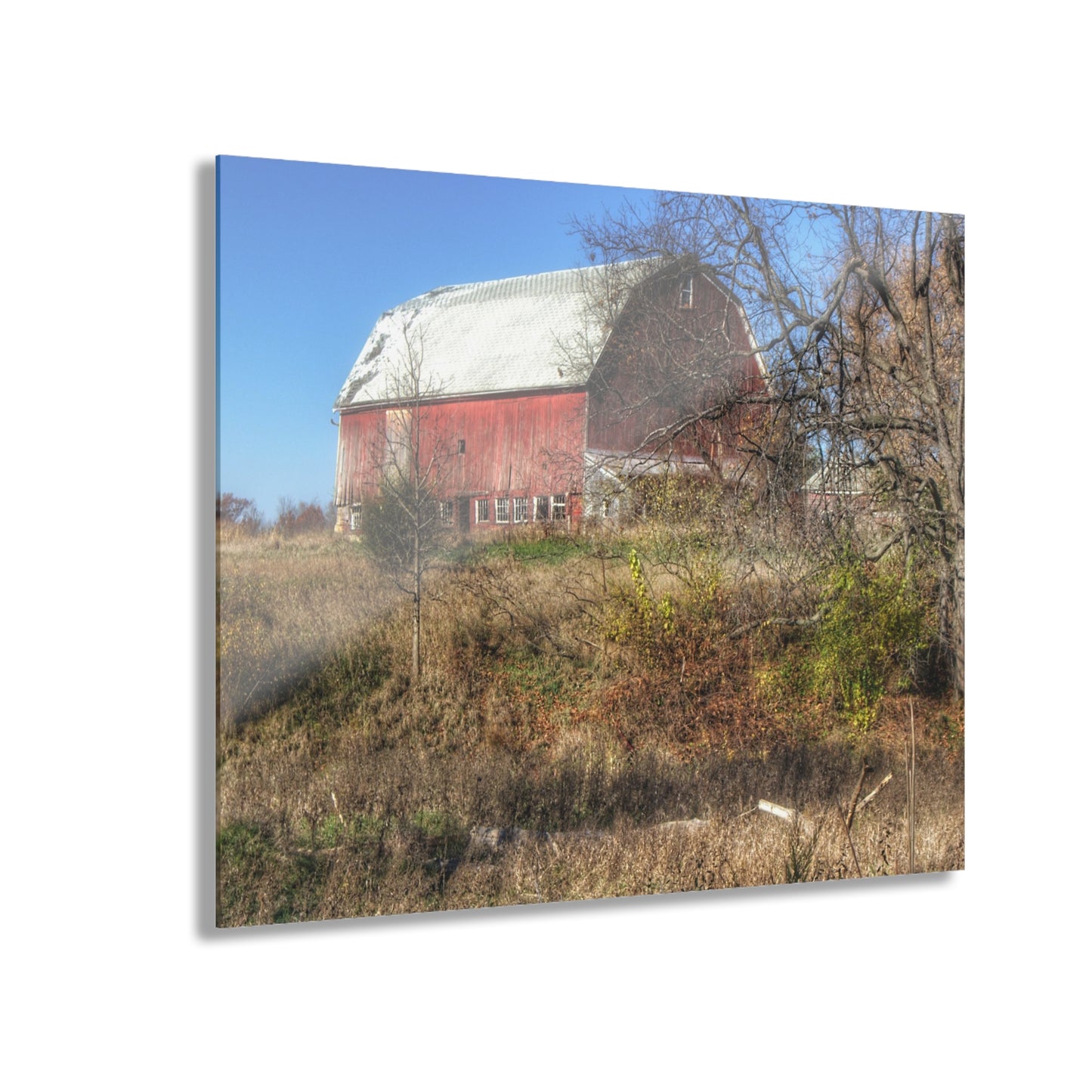 U R There Photography Hadley Red I Rustic Farmhouse Acrylic Wall Print