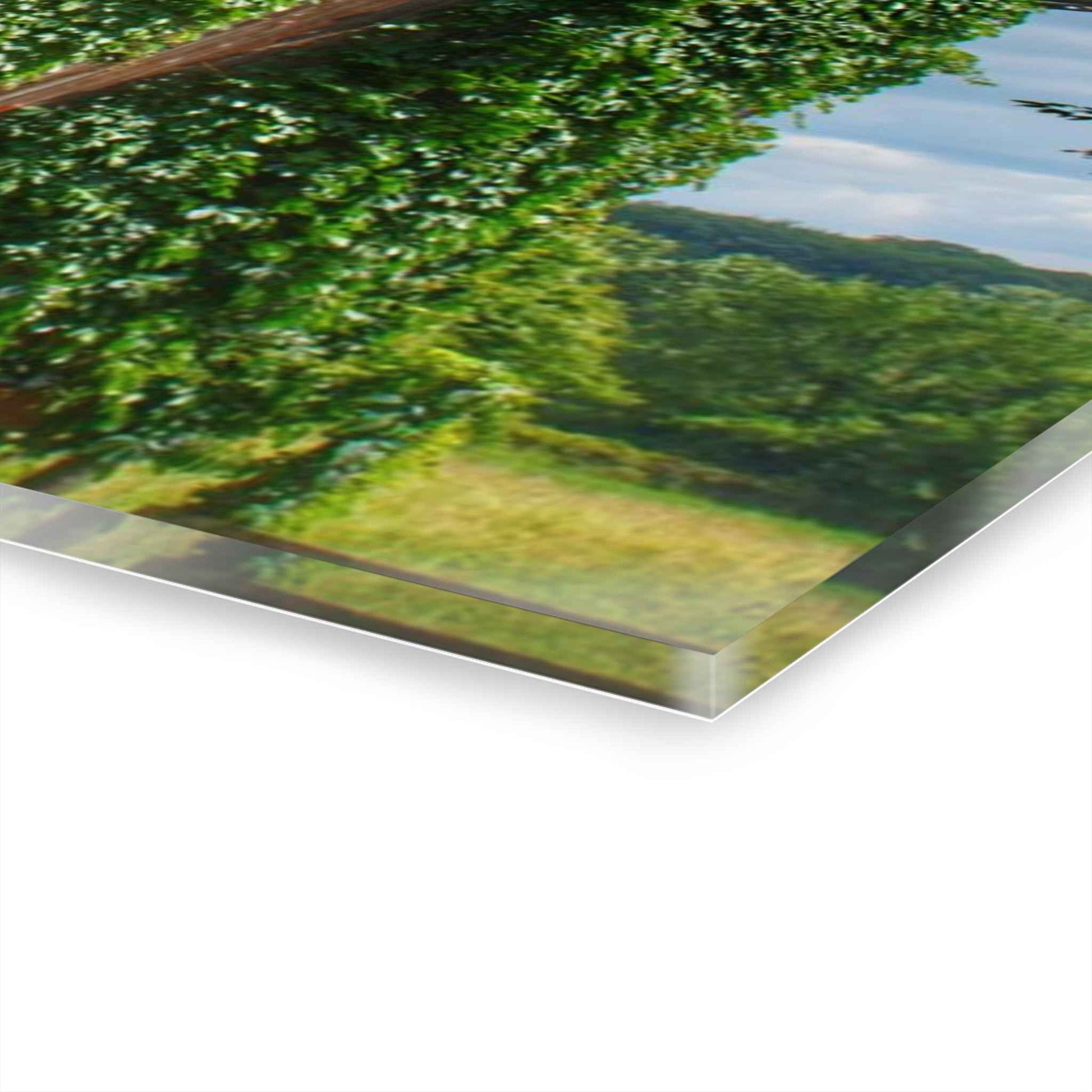 U R There Photography North Branch Ivy Grey I Rustic Farmhouse Acrylic Wall Print