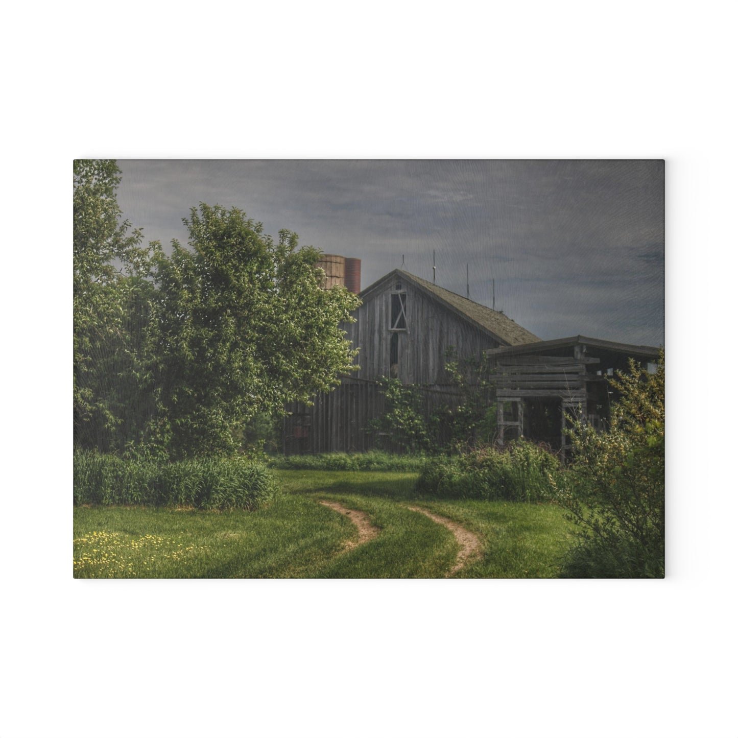 U R There Photography Barkley Road Greys I Rustic Farmhouse Tempered-Glass Cutting Board