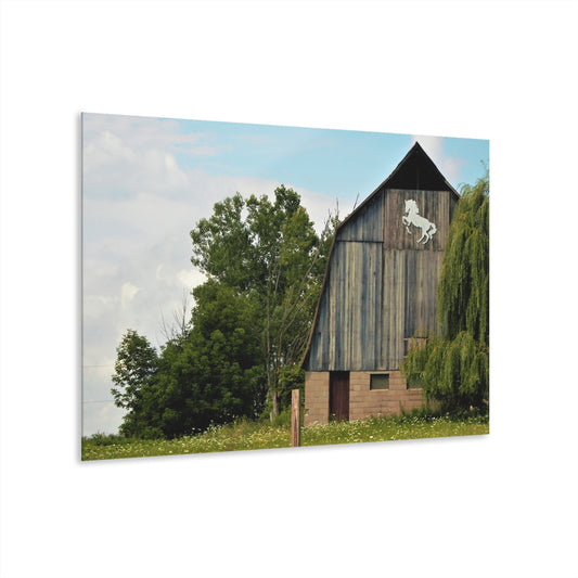 U R There Photography Hassler Lake Horse Barn Rustic Farmhouse Acrylic Wall Print