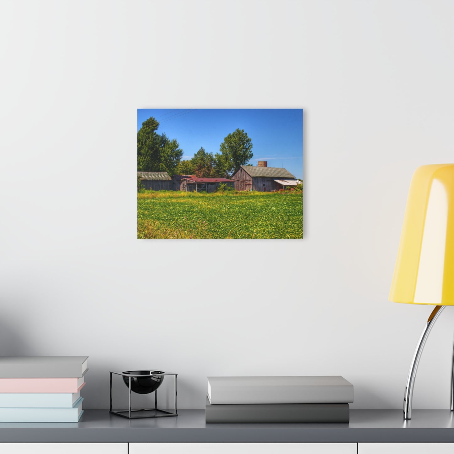 U R There Photography Birch Run Road Greys I Rustic Farmhouse Acrylic Wall Print