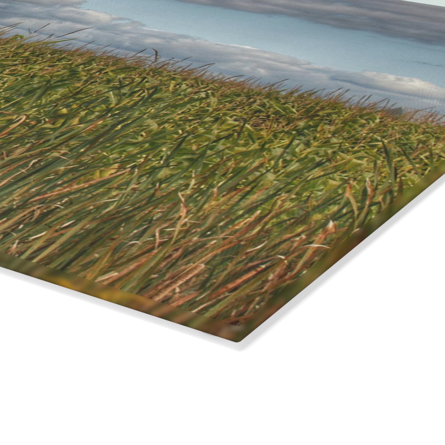 U R There Photography White Barn Overlooking Cornfield Rustic Farmhouse Tempered-Glass Cutting Board