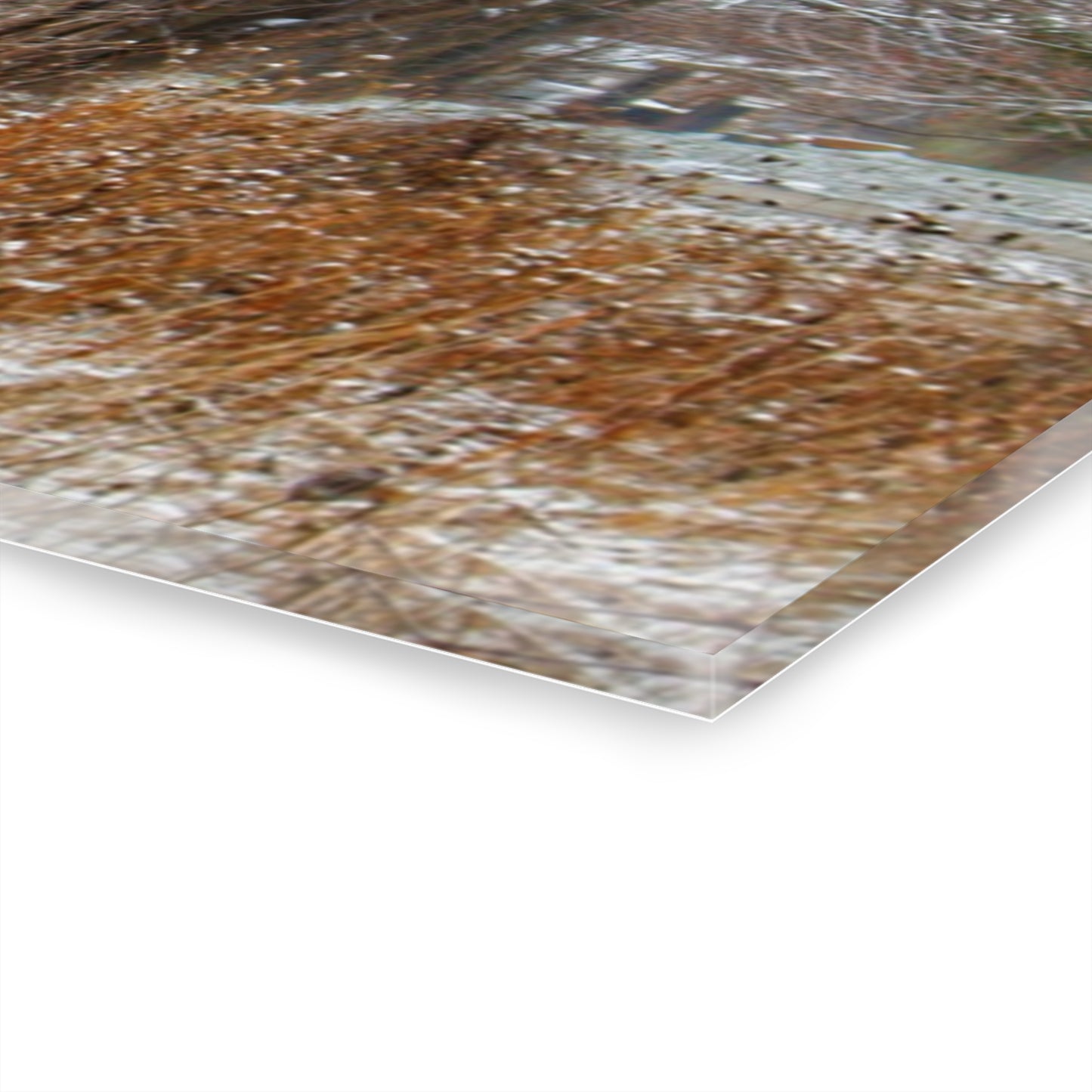 U R There Photography Wale Road Hidden Grey Rustic Farmhouse Acrylic Wall Print
