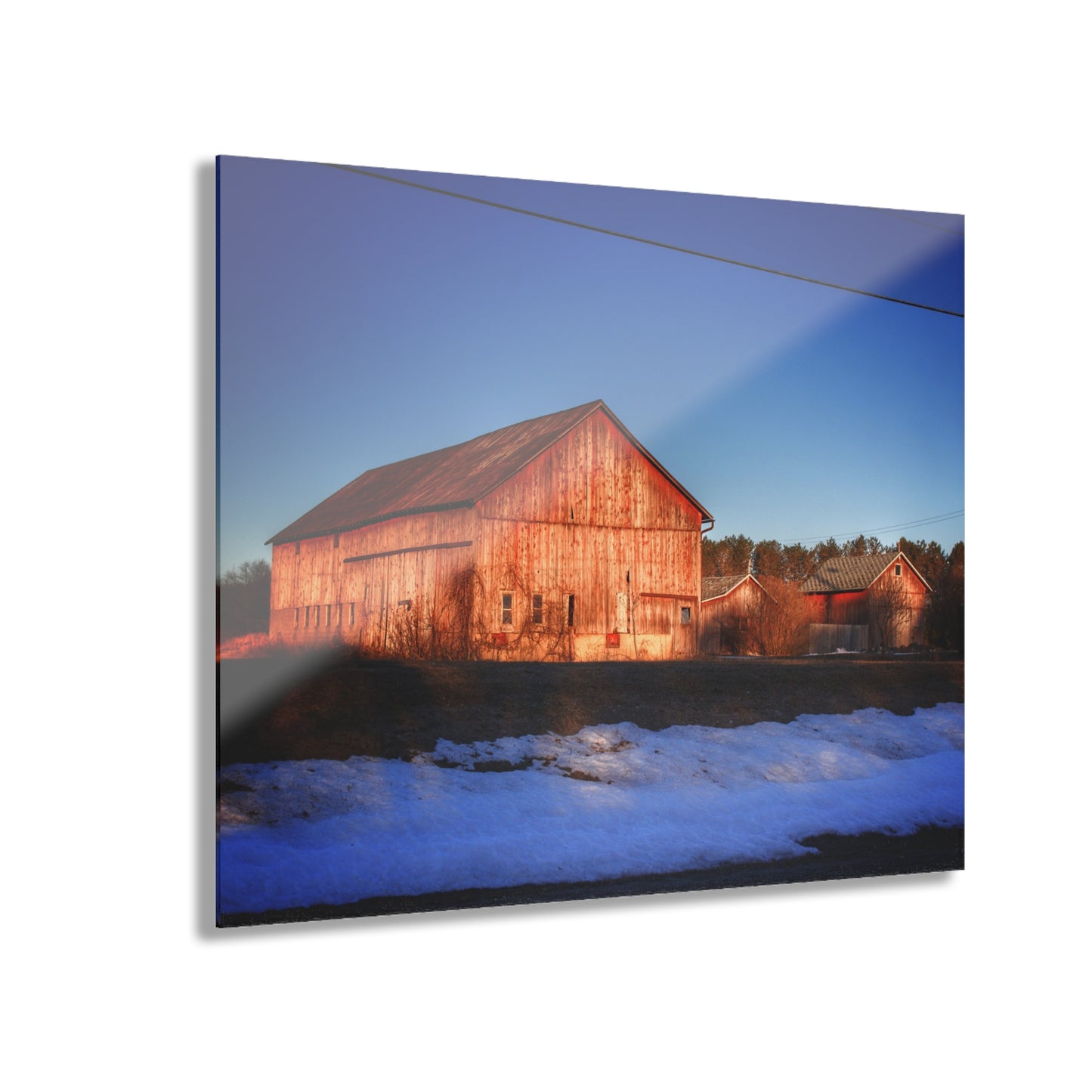 U R There Photography M-15 Reds in Winter Rustic Farmhouse Acrylic Wall Print