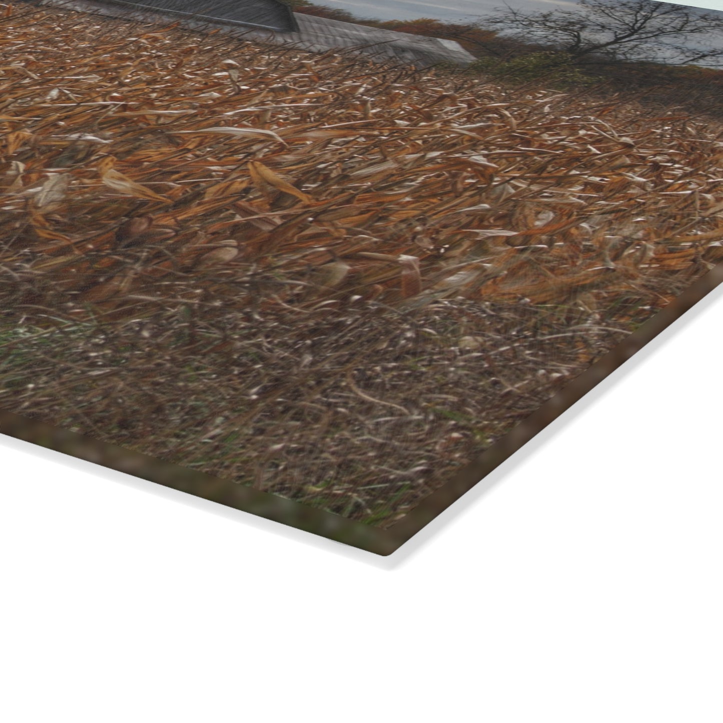 U R There Photography North State Road Grey Rustic Farmhouse Tempered-Glass Cutting Board 8"x 11"