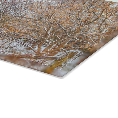 U R There Photography Dryden Road Hidden Winter Grey Rustic Farmhouse Tempered-Glass Cutting Board