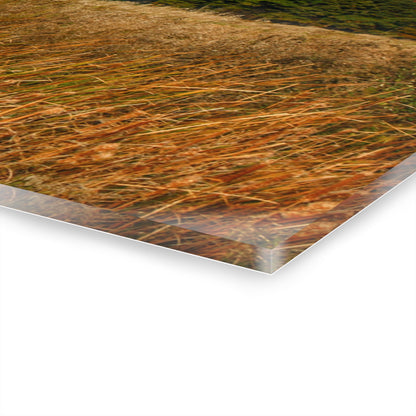 U R There Photography Murphy Lake Road Hidden Red Rustic Farmhouse Acrylic Wall Print