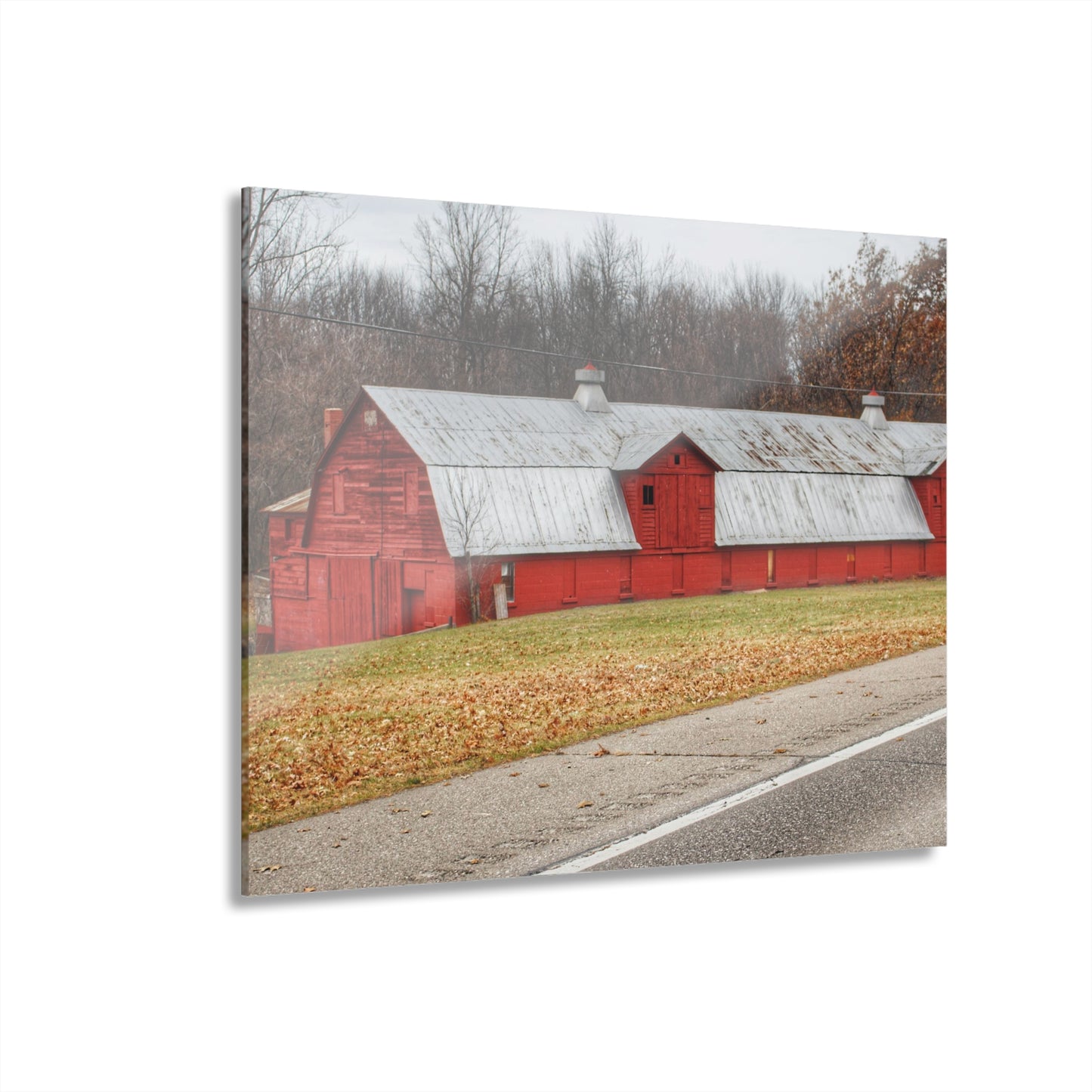 U R There Photography Caseville Red Rustic Farmhouse Acrylic Wall Print