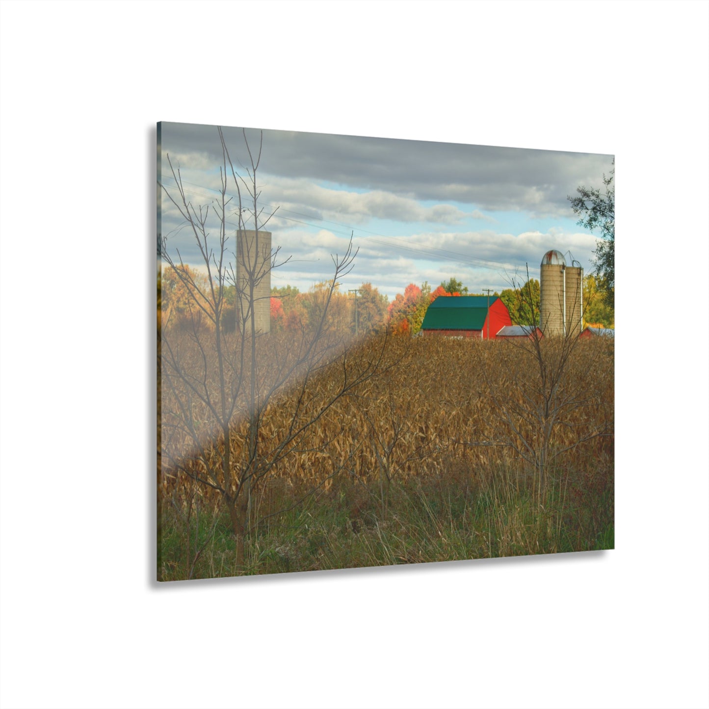 U R There Photography Beyond the Harvest Corn II Rustic Farmhouse Acrylic Wall Print