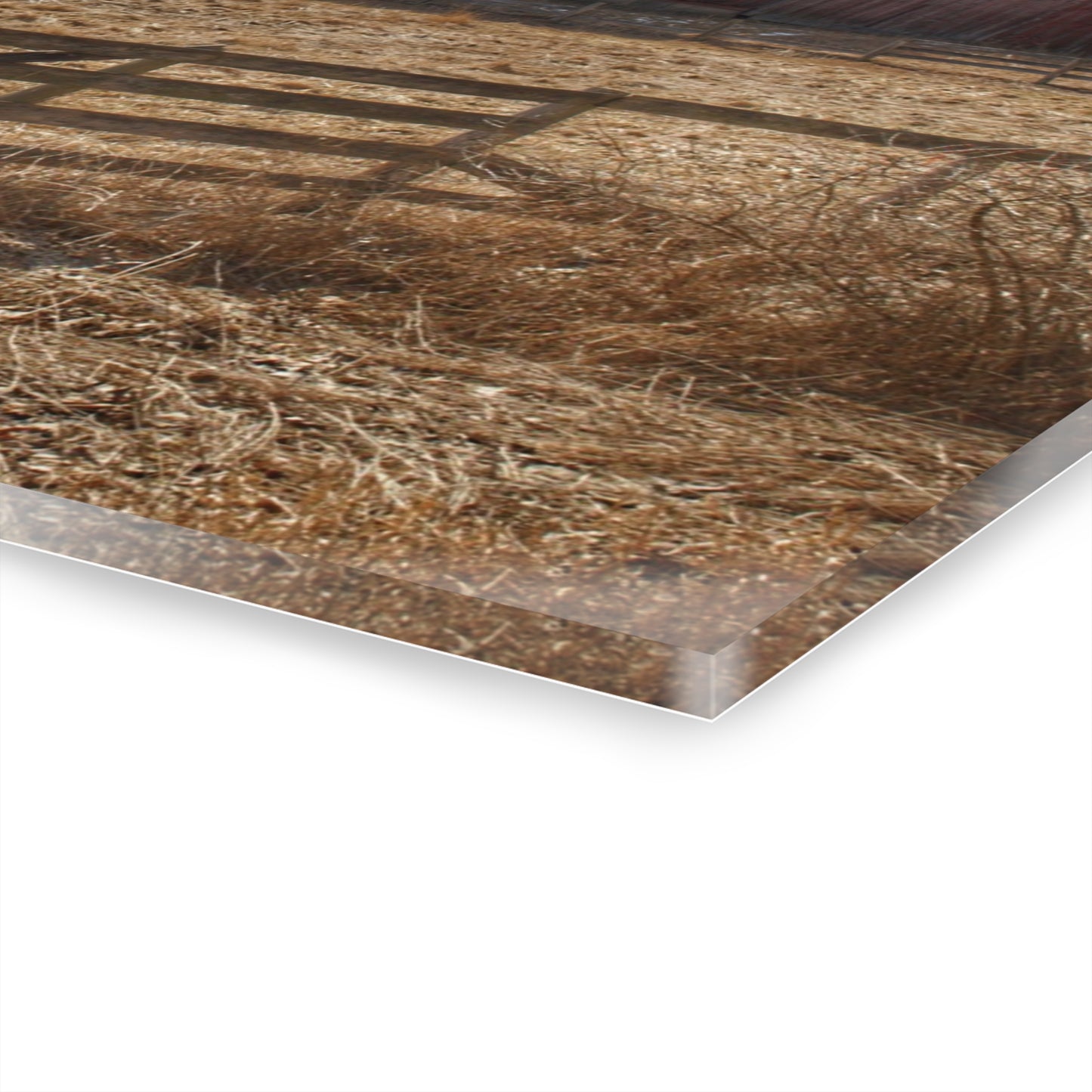 U R There Photography Hough Road Rural Red Rustic Farmhouse Acrylic Wall Print