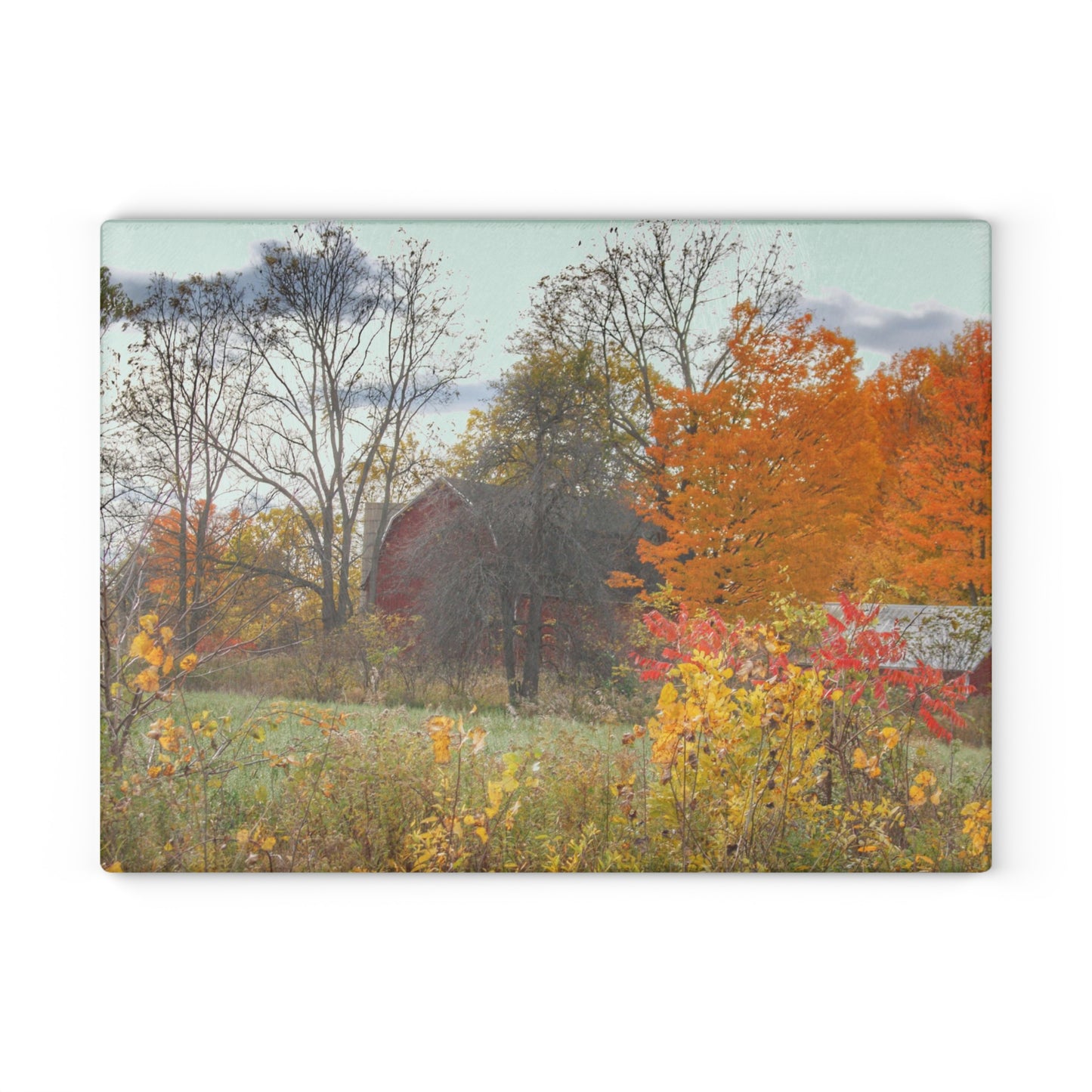 U R There Photography Bowers Hidden Red Rustic Farmhouse Tempered-Glass Cutting Board