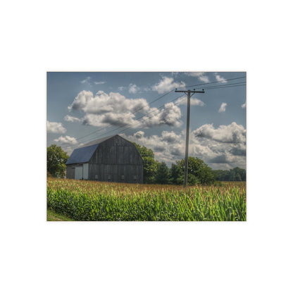 Barn Boutique Rustic Ceramic Wall Tile| Grey Barn in a Cornfield