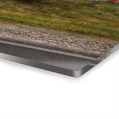 U R There Photography Goodrich Baldwin Road Reds I Rustic Farmhouse Acrylic Wall Print