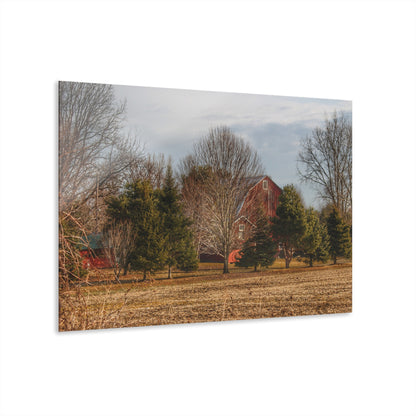 U R There Photography Irish Road Hidden Red Rustic Farmhouse Acrylic Wall Print