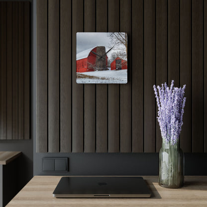 U R There Photography Catlin Reds in Winter I Rustic Farmhouse Acrylic Analog Wall Clock