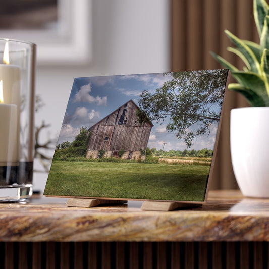 U R There Photography Bohms Road Grey II Rustic Farmhouse Decorative Ceramic Tile