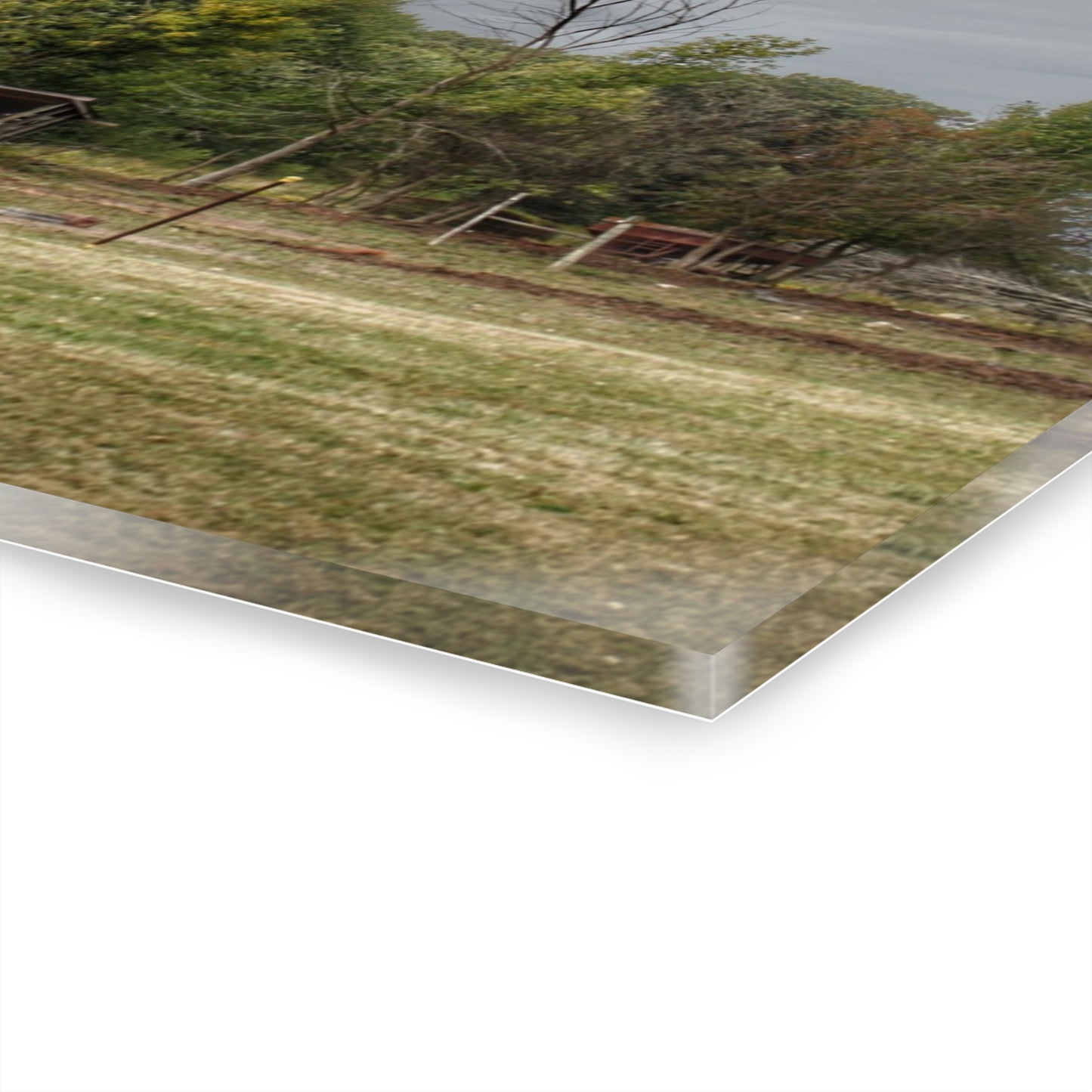 U R There Photography Petz Road Farm Rustic Farmhouse Acrylic Wall Print
