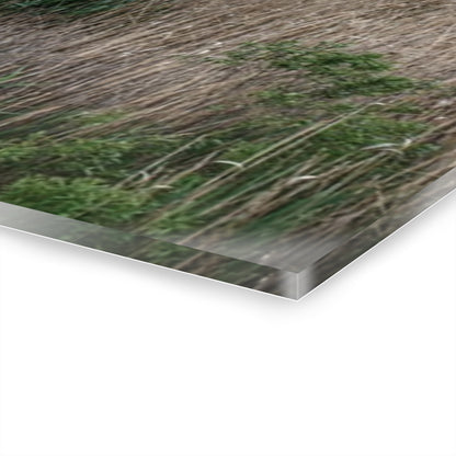 U R There Photography Linear Park Bridge in Lapeer II Rustic Farmhouse Acrylic Wall Print