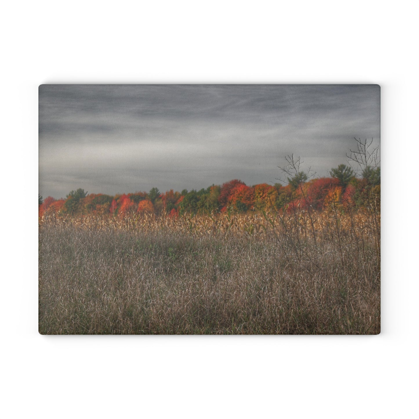 U R There Photography Fall on Murphy Lake V Rustic Farmhouse Tempered-Glass Cutting Board