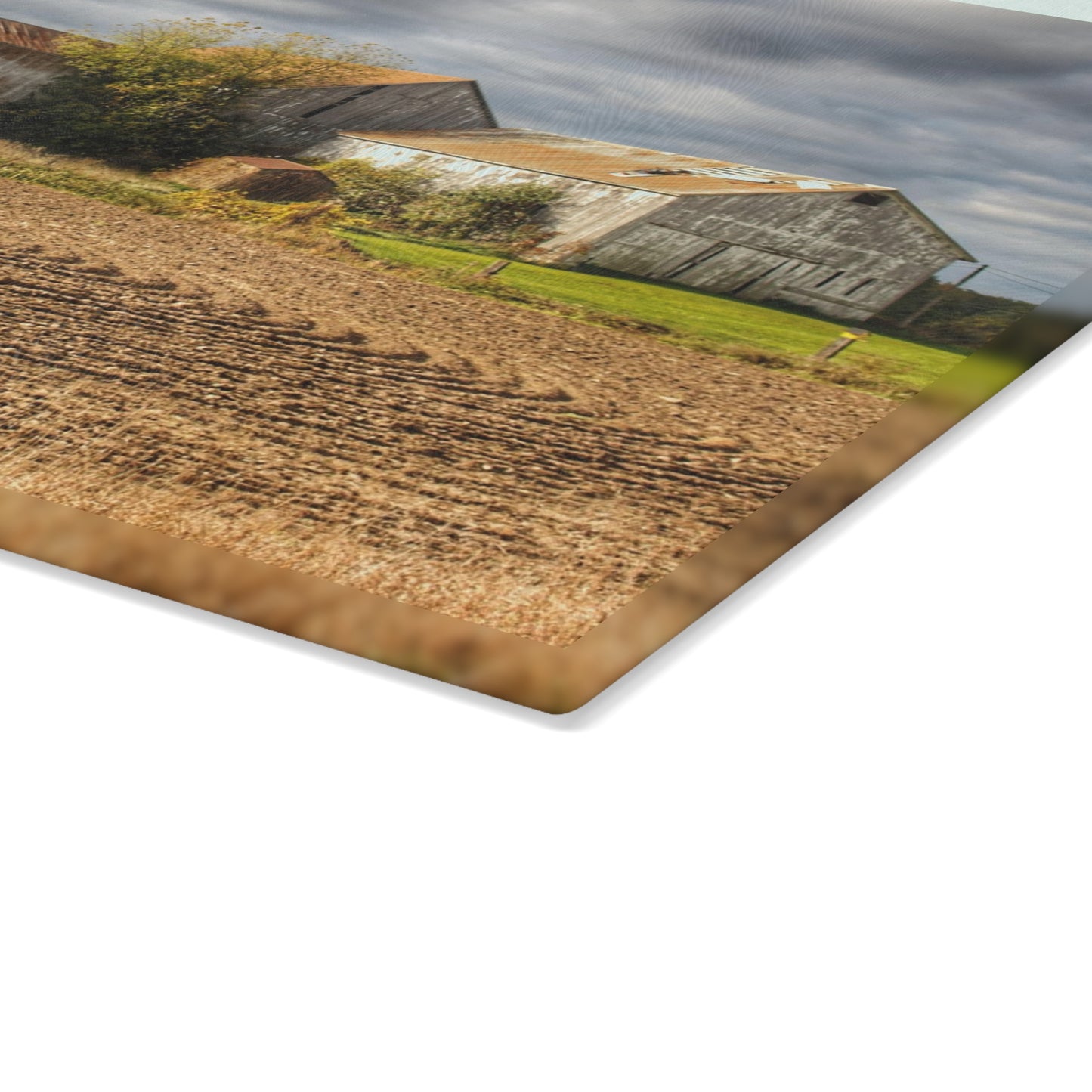 U R There Photography Newark Road Whites Rustic Farmhouse Tempered-Glass Cutting Board