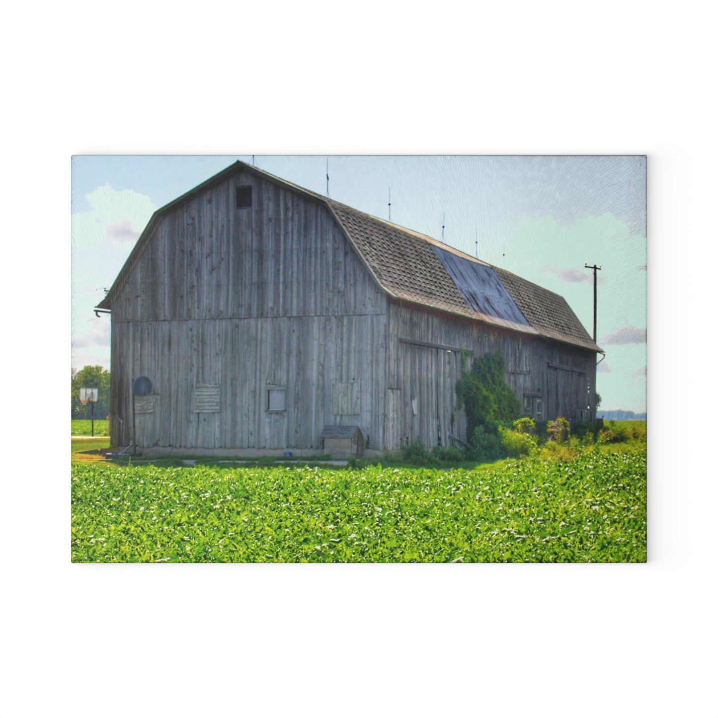 U R There Photography Morning Roadside Grey Rustic Farmhouse Tempered-Glass Cutting Board