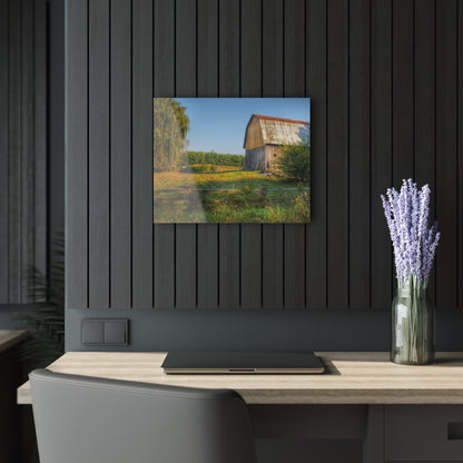 U R There Photography Snover Golden Grey Rustic Farmhouse Acrylic Wall Print