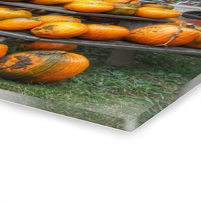 U R There Photography Tabletop Pumpkins Rustic Farmhouse Acrylic Wall Print