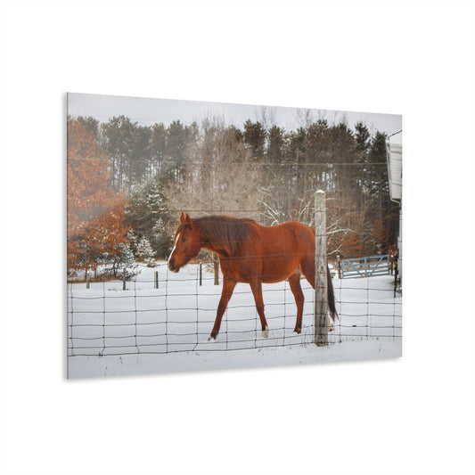 U R There Photography Roadside Chestnut Rustic Farmhouse Acrylic Wall Print