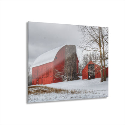 U R There Photography Catlin Reds in Winter I Rustic Farmhouse Acrylic Wall Print