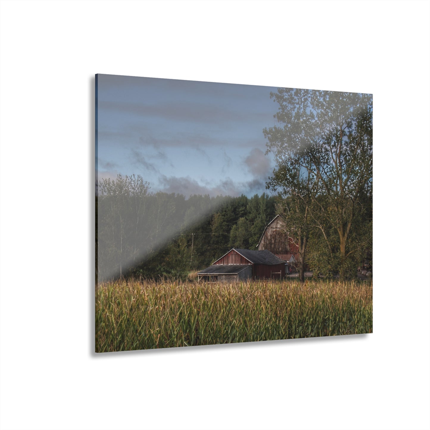 U R There Photography West Oregon Road Hidden Red II Rustic Farmhouse Acrylic Wall Print